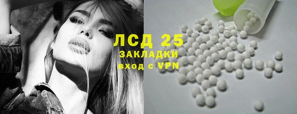 мяу мяу мука Горняк