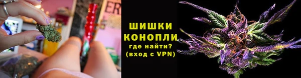 дурь Горно-Алтайск