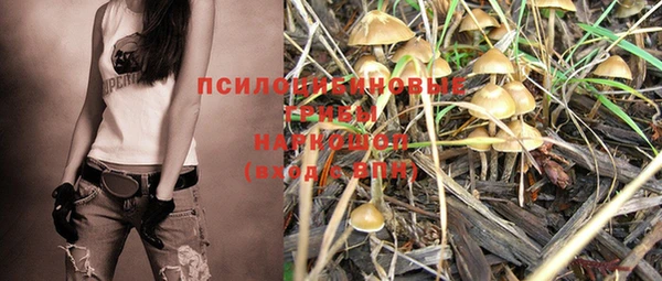 мяу мяу мука Горняк