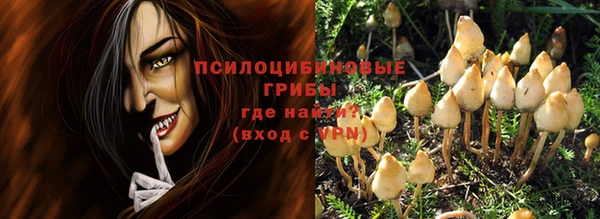 дурь Горно-Алтайск