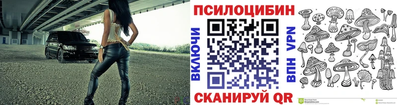 Галлюциногенные грибы Cubensis  Купить  Коммунар 